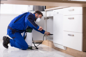 Commercial Pest Management In Marion, OH