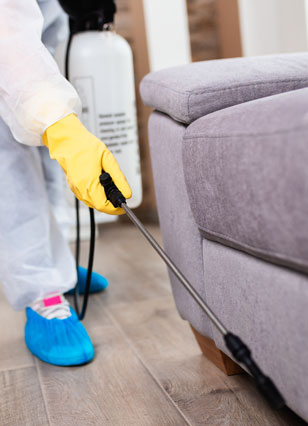 Bed Bugs Services In Marion, OH
